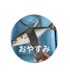 fishingスタンプ1（個別スタンプ：7）