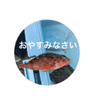 fishingスタンプ1（個別スタンプ：8）