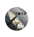 fishingスタンプ1（個別スタンプ：12）