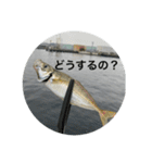 fishingスタンプ1（個別スタンプ：15）