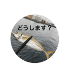 fishingスタンプ1（個別スタンプ：16）