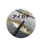 fishingスタンプ1（個別スタンプ：17）