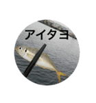 fishingスタンプ1（個別スタンプ：19）