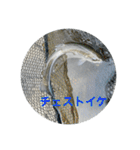 fishingスタンプ1（個別スタンプ：40）