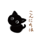 めっかわ子猫くろねこ（黒猫）（個別スタンプ：1）