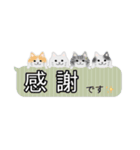 ふきだしの白猫（個別スタンプ：11）