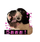 だだのぷりぷりらいふ2（個別スタンプ：1）