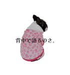 だだのぷりぷりらいふ2（個別スタンプ：3）