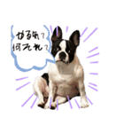 だだのぷりぷりらいふ2（個別スタンプ：4）