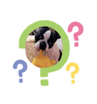 だだのぷりぷりらいふ2（個別スタンプ：8）