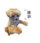犬のロキくん#3（個別スタンプ：11）