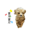 犬のロキくん#3（個別スタンプ：14）