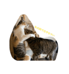 第三弾は、表情豊かな愛猫たちをお届け〜♫（個別スタンプ：9）