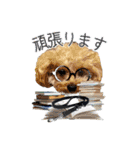 DIO 可愛いプードル（個別スタンプ：7）