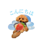 DIO 可愛いプードル（個別スタンプ：11）