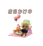 DIO 可愛いプードル（個別スタンプ：15）