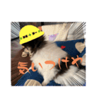 ももちの使えるスタンプ（個別スタンプ：6）