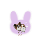 ♡臼井様（個別スタンプ：6）