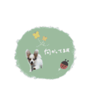 ♡臼井様（個別スタンプ：14）
