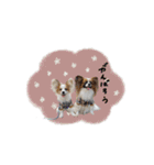 ♡臼井様（個別スタンプ：16）