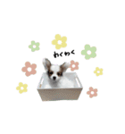 ♡臼井様（個別スタンプ：23）