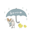 ♡臼井様（個別スタンプ：24）