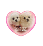 LUNA＆SEAです！！バレンタインデー"LOVe"（個別スタンプ：3）
