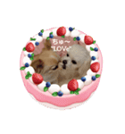 LUNA＆SEAです！！バレンタインデー"LOVe"（個別スタンプ：7）