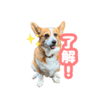 食パン一斤スタンプ（個別スタンプ：6）