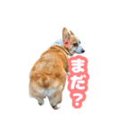 食パン一斤スタンプ（個別スタンプ：14）