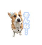 食パン一斤スタンプ（個別スタンプ：15）