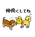 柴犬チロたちの春の物語♪卒業/受験/入学（個別スタンプ：30）