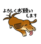 柴犬チロたちの春の物語♪卒業/受験/入学（個別スタンプ：31）