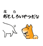 柴犬チロたちの春の物語♪卒業/受験/入学（個別スタンプ：33）