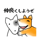 柴犬チロたちの春の物語♪卒業/受験/入学（個別スタンプ：34）