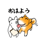 柴犬チロたちの春の物語♪卒業/受験/入学（個別スタンプ：35）