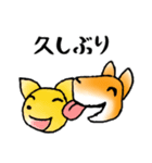 柴犬チロたちの春の物語♪卒業/受験/入学（個別スタンプ：38）