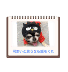 俺様はレオ。（個別スタンプ：3）