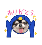 俺様はレオ。（個別スタンプ：6）