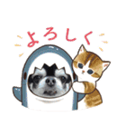 俺様はレオ。（個別スタンプ：10）