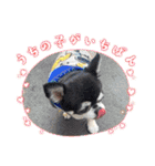俺様はレオ。（個別スタンプ：26）