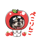 俺様はレオ。（個別スタンプ：32）