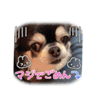 俺様はレオ。（個別スタンプ：34）