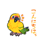 【もふっとあにまる】コガネメキシコインコ（個別スタンプ：2）