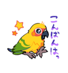 【もふっとあにまる】コガネメキシコインコ（個別スタンプ：3）