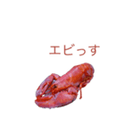 おっけ牛くんスタンプ第1弾（顔文字）です（個別スタンプ：19）