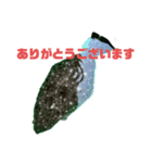 魚三昧 Ver17（個別スタンプ：6）