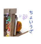でめちゃんのスタンプ（個別スタンプ：5）