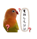でめちゃんのスタンプ（個別スタンプ：11）