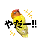 でめちゃんのスタンプ（個別スタンプ：14）